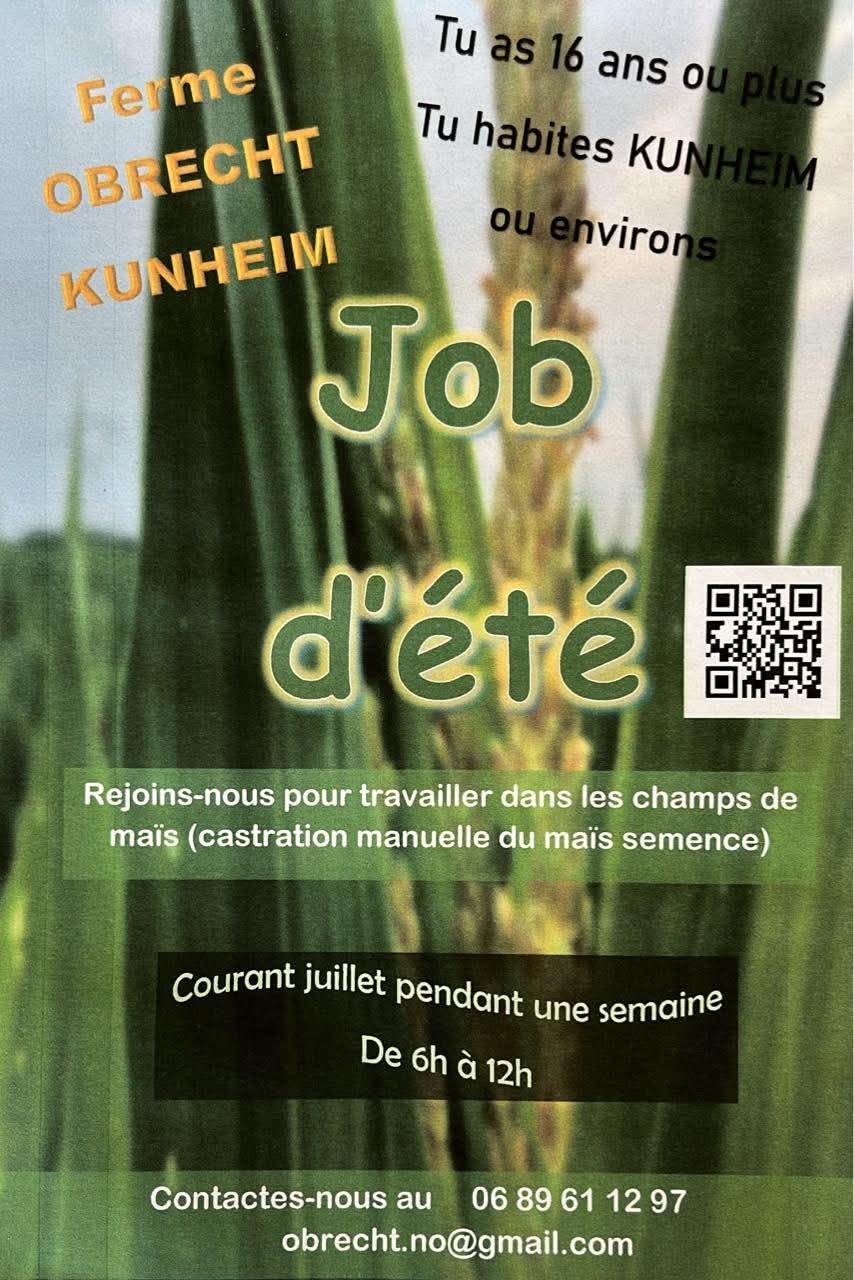 job d'été Ferme obrecht job d'été Ferme obrecht